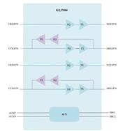 (chung)ΩƼ-GL9904-QFN42 4ͨ10gbps(q)(dng)